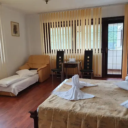 Pensiunea Tv Condor Homestay