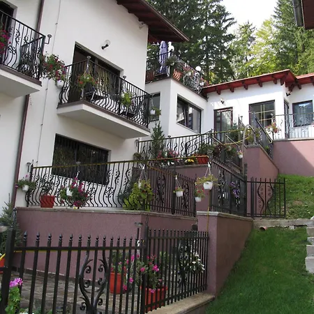 Homestay Pensiunea Tv Condor