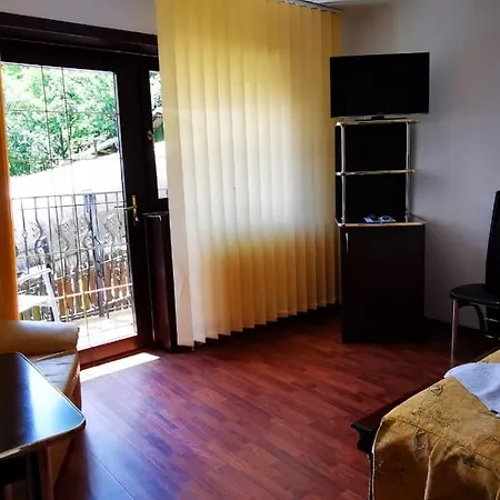 Pensiunea Tv Condor Homestay *