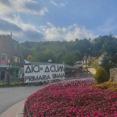 Homestay Pensiunea Tv Condor Sinaia
