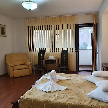 Homestay Pensiunea Tv Condor *