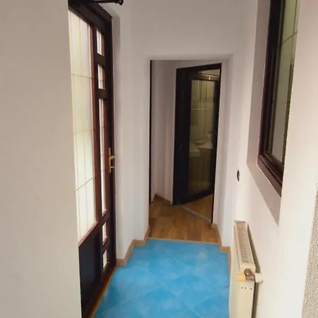 Pensiunea Tv Condor Homestay