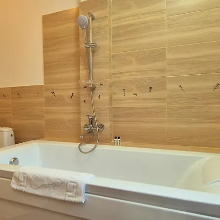 Pensiunea Tv Condor Homestay Sinaia