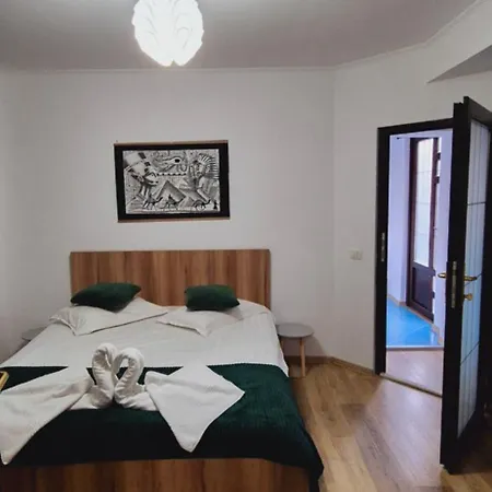 Pensiunea Tv Condor Homestay
