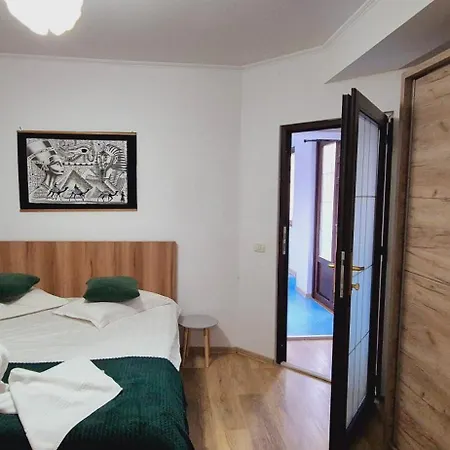 Homestay Pensiunea Tv Condor