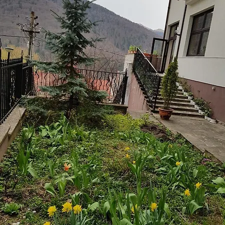 Pensiunea Tv Condor Homestay Sinaia