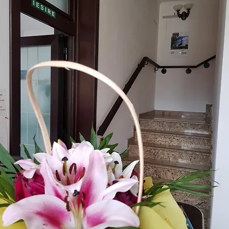 Homestay Pensiunea Tv Condor *